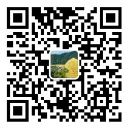 大发购彩中心-购彩大厅